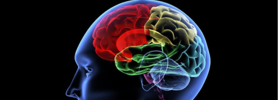 Pic of Social Intelligence